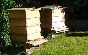 Cheshire Honey Hives