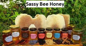 Sassy bee Honey